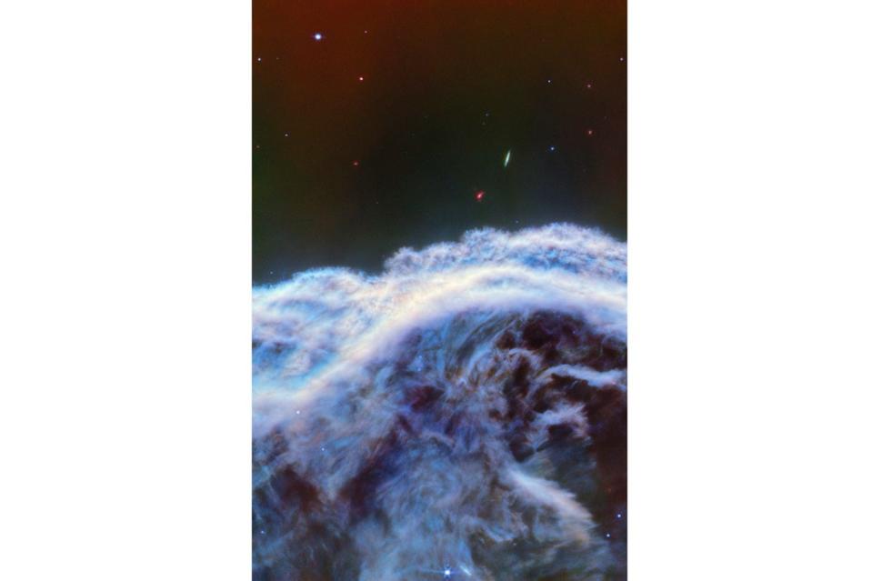 NASA韋伯太空望遠鏡公布馬頭星雲的清晰照。美聯社