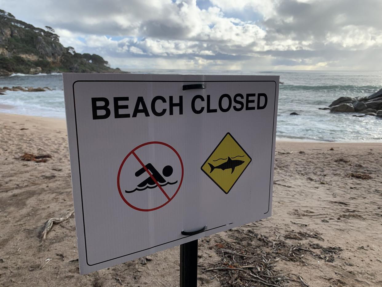 Bunker Bay, Western Australia, Australia August 2 2020: Huge shark attacks surfer and beach closed