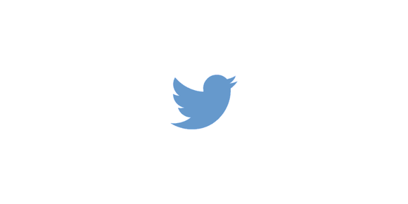 Twitter blue bird logo