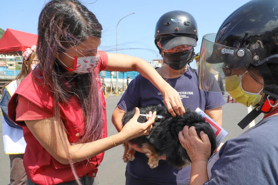 動保處每年安排巡迴行程辦理狂犬病預防注射服務。   圖：新北市動保處提供