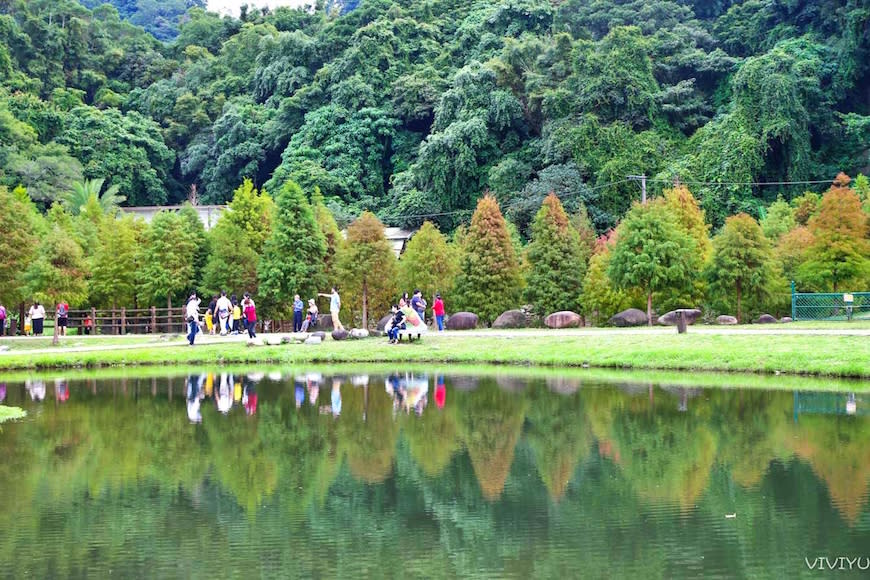 桃園大溪｜月眉人工濕地生態公園