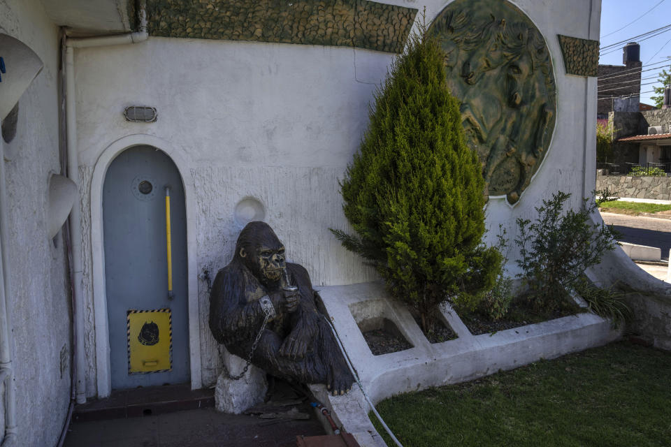 Una escultura de cemento de un gorila llamado Pepe con una taza de mate está encadenada a una pared para evitar que se la roben en San Miguel, Argentina, el martes 1 de noviembre de 2022. (AP Foto/Rodrigo Abd)