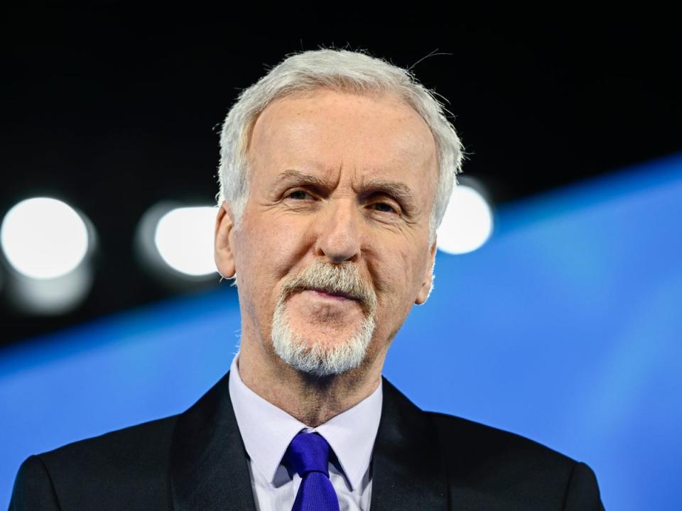 James Cameron photographed at the world premiere of ‘Avatar: The Way of Water' (Gareth Cattermole/Getty Images)