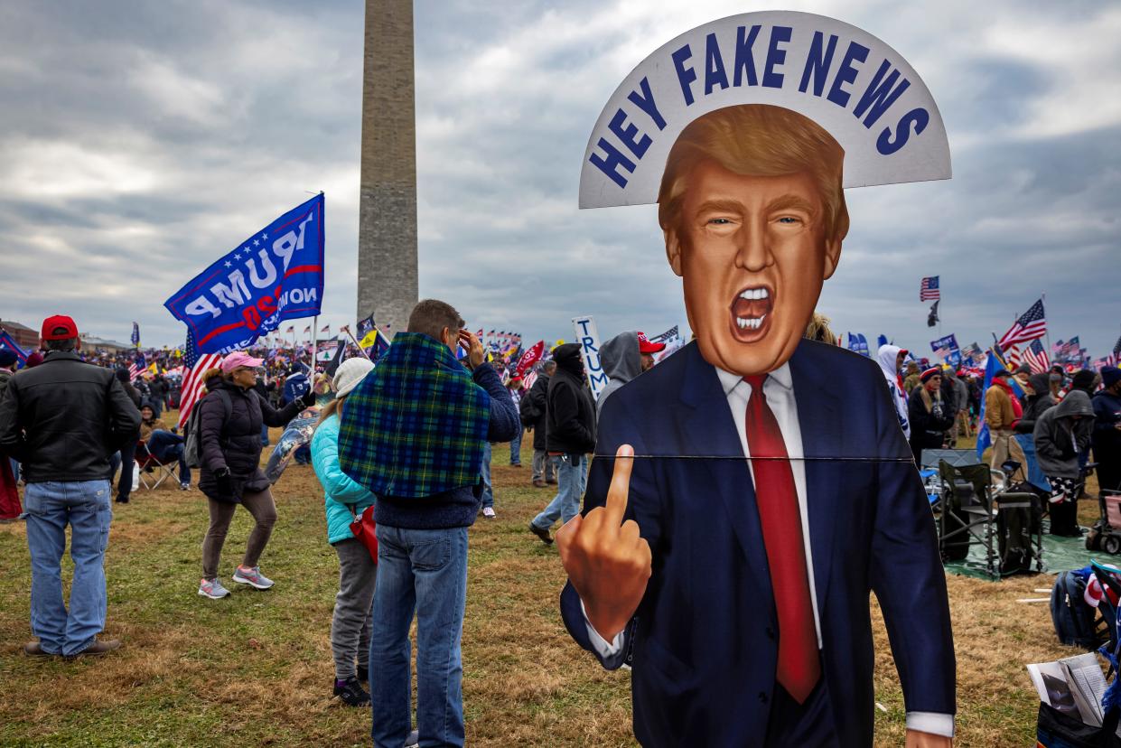 Donald Trump cut-out on National Mall