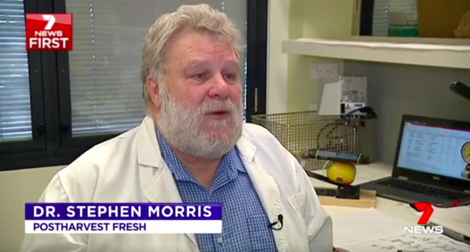 Dr Stephen Morris, from research and consulting company Postharvest Fresh, tested a range of apples from Aldi, Woolworths, Coles and an independent grocery shop to analyse their quality and age.