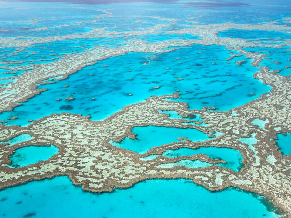 The Great Barrier Reef, Australia