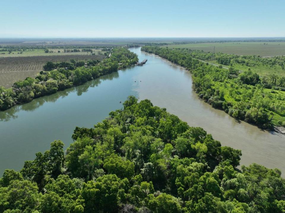 An aerial photograph shows the confluence of the Sacramento and Feather rivers near Knights Landing. With help from Apple, a plan is being hatched to restore the natural floodplain, which will start in 2027, and will significantly benefit the state’s imperiled native salmon, conservationists say.
