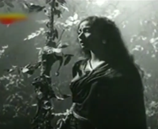 Baiju Bawra: This film that won her fame and also almost killed her. During the filming of the movie, in 1952, Meena Kumari almost drowned to death. The film was based on the life of a dhrupad musician from medieval India. 