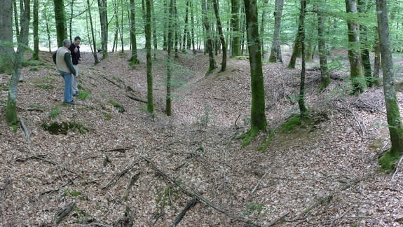 WWII bomb craters from a German fuel depot in the Forêt Domaniale des Andaines in Normandy.