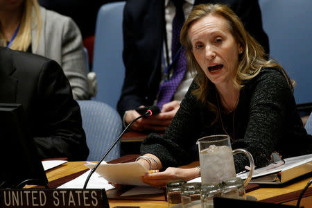 United States Ambassador for the Economic and Social Council at the U.N. Kelley Currie, speaks during a UN Security Council meeting on Syria at the United Nations headquarters in New York, U.S., February 22, 2018. REUTERS/Brendan McDermid