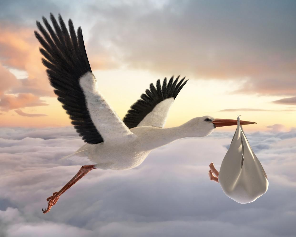 stork delivering baby