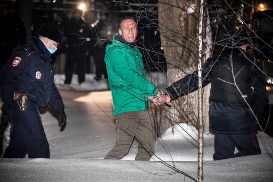 Photograph of Alexei Navalny in Russia