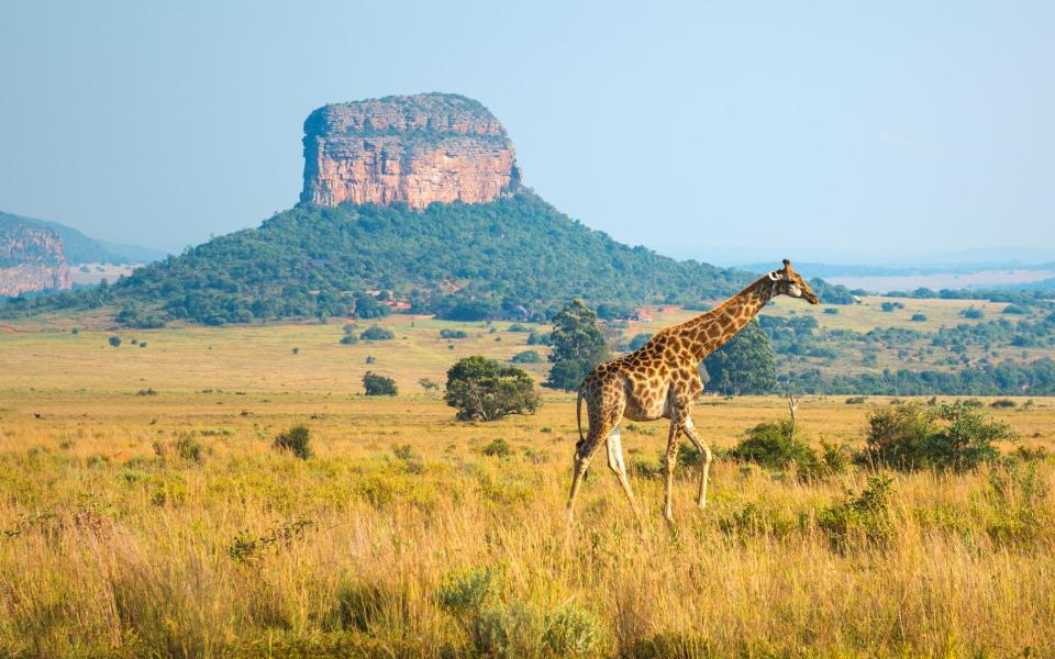 South Africa has dropped its testing requirement for vaccinated adults - Getty