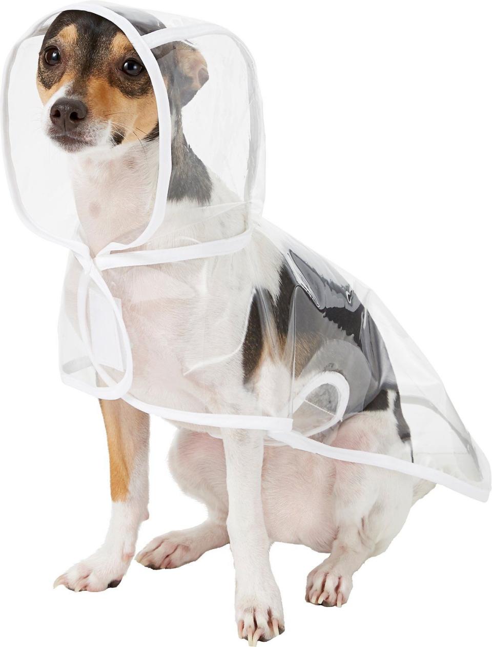 32) Clear Vinyl Dog Raincoat