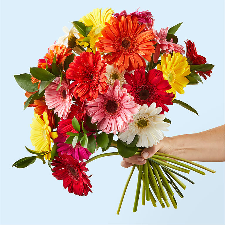 <p><a href="https://go.redirectingat.com?id=74968X1596630&url=https%3A%2F%2Fwww.proflowers.com%2Fproduct%2Fsunkissed-gerbera-bouquet-prd-ffgd&sref=https%3A%2F%2Fwww.thepioneerwoman.com%2Fholidays-celebrations%2Fg44750846%2Fthanksgiving-flowers%2F" rel="nofollow noopener" target="_blank" data-ylk="slk:Shop Now;elm:context_link;itc:0;sec:content-canvas" class="link rapid-noclick-resp">Shop Now</a></p><p>Sunkissed Gerbera Bouquet</p><p>proflowers.com</p><p>$55.00</p><span class="copyright">Proflowers</span>