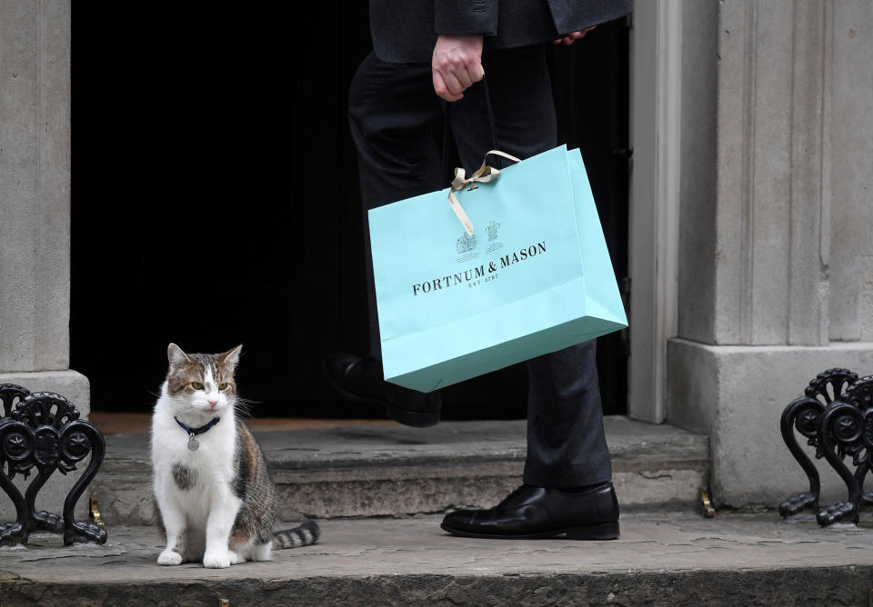 10 Downing Street kitty