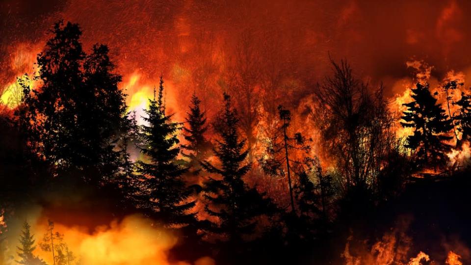 Incendio forestal en California