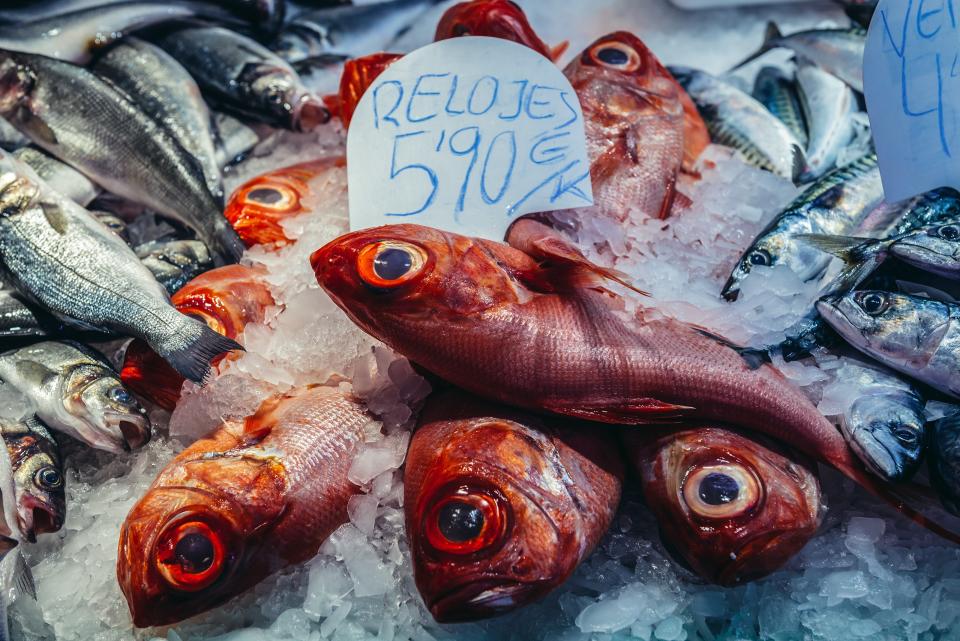 Orange Roughy — 140 Years