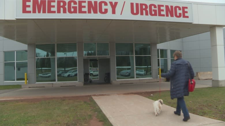 'The whole waiting room calmed down:' Therapy dogs approved for Charlottetown ER