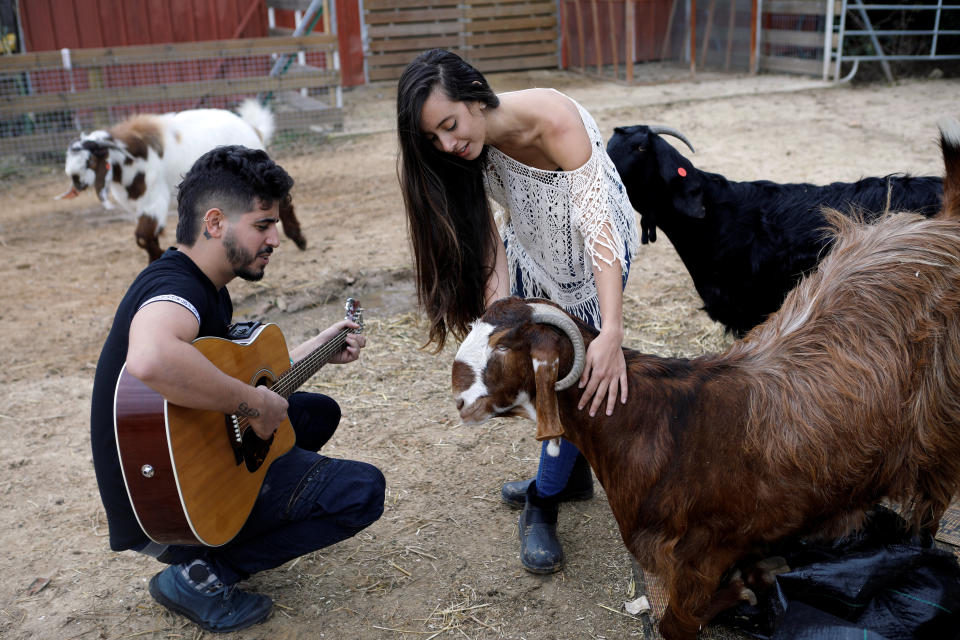 A volunteer plays guitar as another pats a goat at "Freedom Farm" which serves as a refuge for mostly disabled animals in Moshav Olesh, Israel. (Photo: Nir Elias/Reuters)              