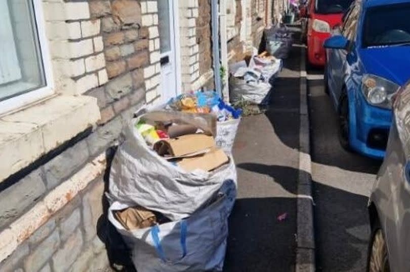 Richmond Street Rubbish. The street hadn't had a recycling collection for a month   

Credit: Charlotte Mcnaught