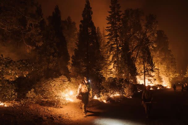 PHOTO: A firefighter lights a controlled burn during the Mosquito Fire on Sept. 14, 2022, in Foresthill, Calif. (Eric Thayer/Getty Images)