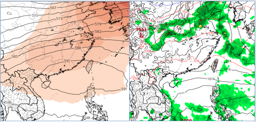 根據最新歐洲模式模擬天氣圖顯示，500百帕「副熱帶高壓」籠罩台灣附近；台灣無降水(右圖)。   圖：翻攝自老大洩天機專欄