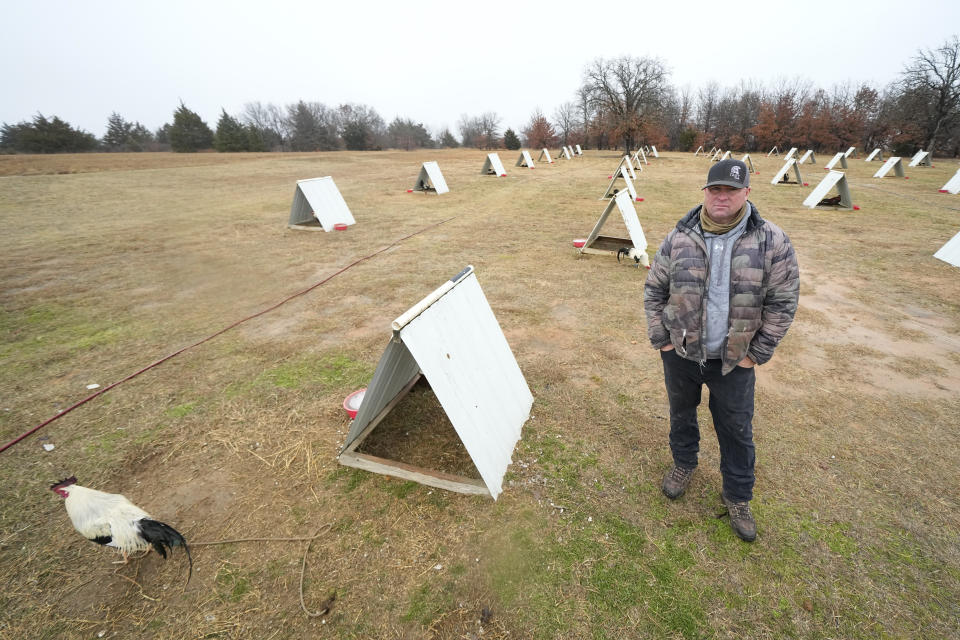 Troy Thompson, owner of Troy Farms poses for The Associated Press near teepees for his roosters, Tuesday, Jan. 23, 2024, in Wilson, Okla. Before Oklahoma became one of the last places in the U.S. to outlaw cockfighting in 2002, it wasn't uncommon to see hundreds of spectators packed into small arenas in rural parts of the state to watch roosters, often outfitted with razor-sharp steel blades, fight until a bloody death. (AP Photo/Julio Cortez)