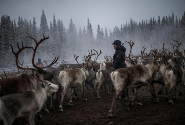 Swedish TV hit 'Midnight Sun' shines light on Sami people