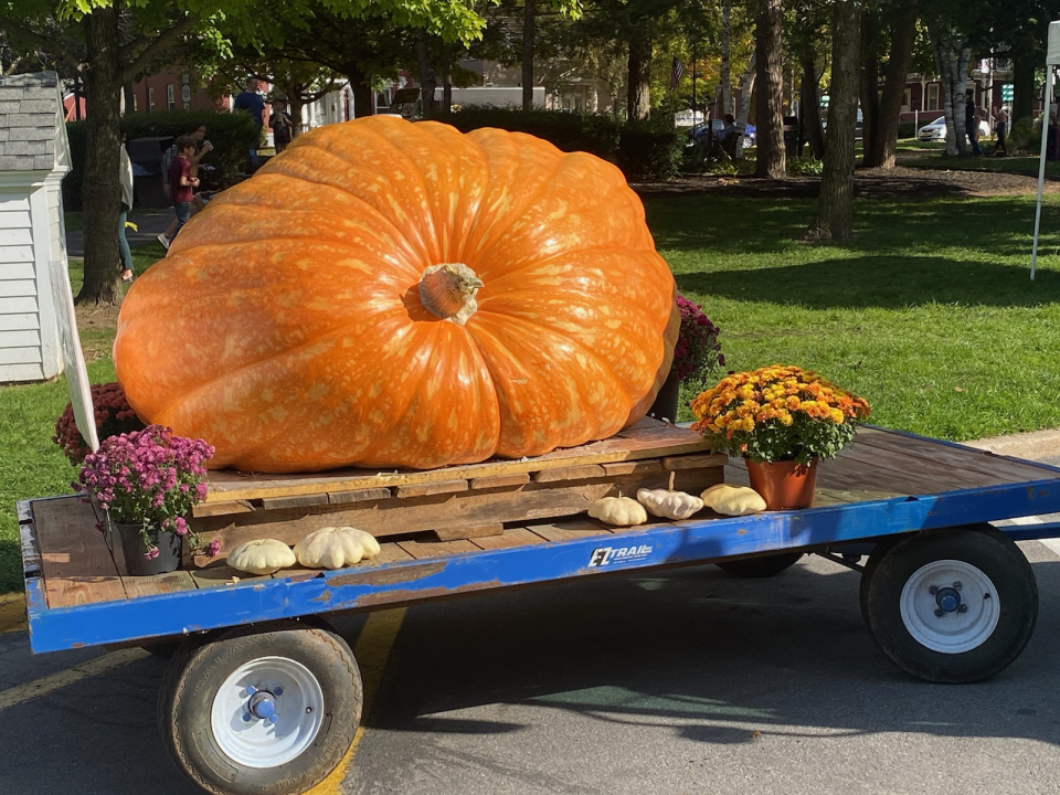 Todd Kogut's pumpkin has been displayed at his sister Tia Elow's front yard, but he plans on carving it for Halloween.