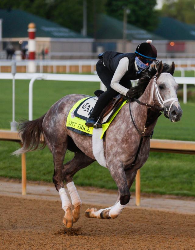 8 Secretariat descendants are in 2023 Kentucky Derby field Odds, what