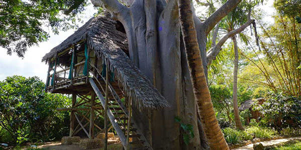 <b>Chole Mijini, Tanzania</b> Located on Chole Island, just off the coast of Mafia Island, these treehouses are hidden in the canopy of the baobab trees. This is the perfect place to appreciate the peace of the island.