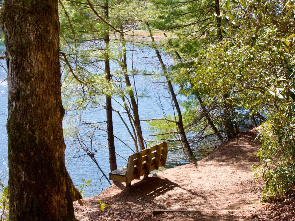 A bench at the edge of Unicoi Lake, Alison Datko, "I visited a small mountain town in Georgia, where the German-inspired architecture made me feel transported to Europe."