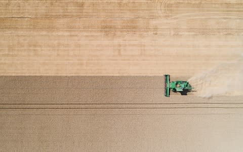 A farmer drives his harvester over a field in Algermissen near Hildesheim on Monday. Due to the warm and dry weather many farmers are expecting a bad harvest - Credit: Julian Stratenschulte/dpa