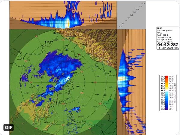 Visual representation of rains in North India (Photo/Twitter/IMD)