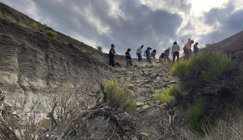  In a scene from the documentary "T.REX," paleontologist Tyler Lyson, Natalie Toth, and their team begin uncovering a juvenile T. rex in North Dakota's Hell Creek Formation.