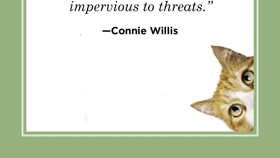 cat quote by connie willis