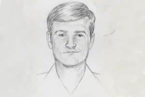 A sketch of the suspected