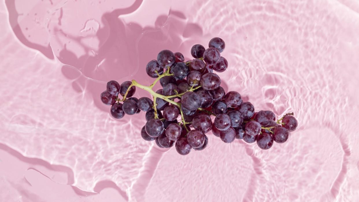 resveratrol antioxidant benefits: Fresh, juicy cluster of black muscat grapes standing in the water against pastel pink purple background. Washing fruit idea. Natural, healthy, autumn food concept. Minimal flat lay.