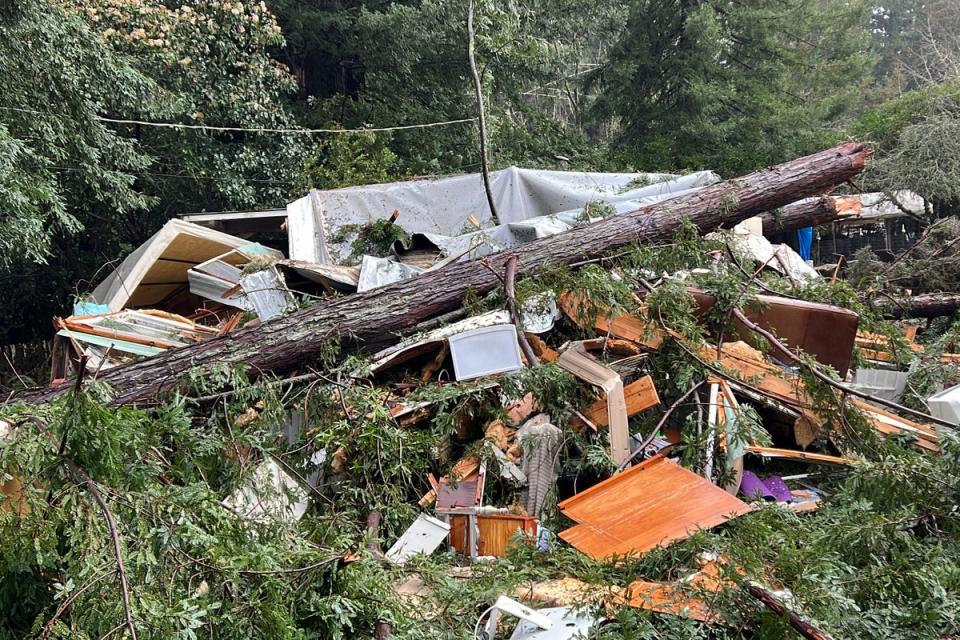 Downed trees and power lines are a common site across California, following historic storms (AP)