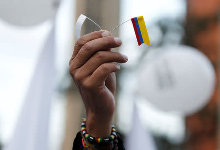 A supporter rallying for the nation’s new peace agreement with FARC holds a tiny flag during a march in Bogota, Colombia, November 15, 2016. REUTERS/John Vizcaino