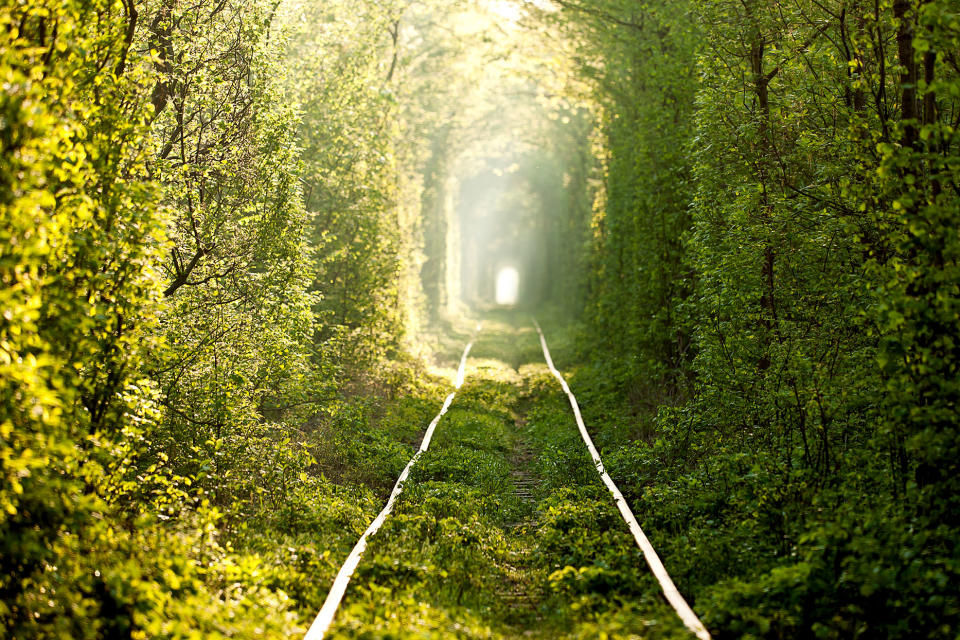 Tunnel of Love in Klevan, Ukraine