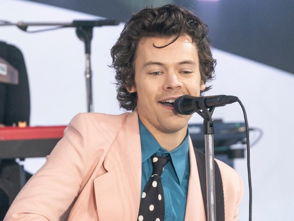 Harry Styles hat beim Coachella-Festival einen wertvollen Ring verloren. (Bild: lev radin/Shutterstock.com)