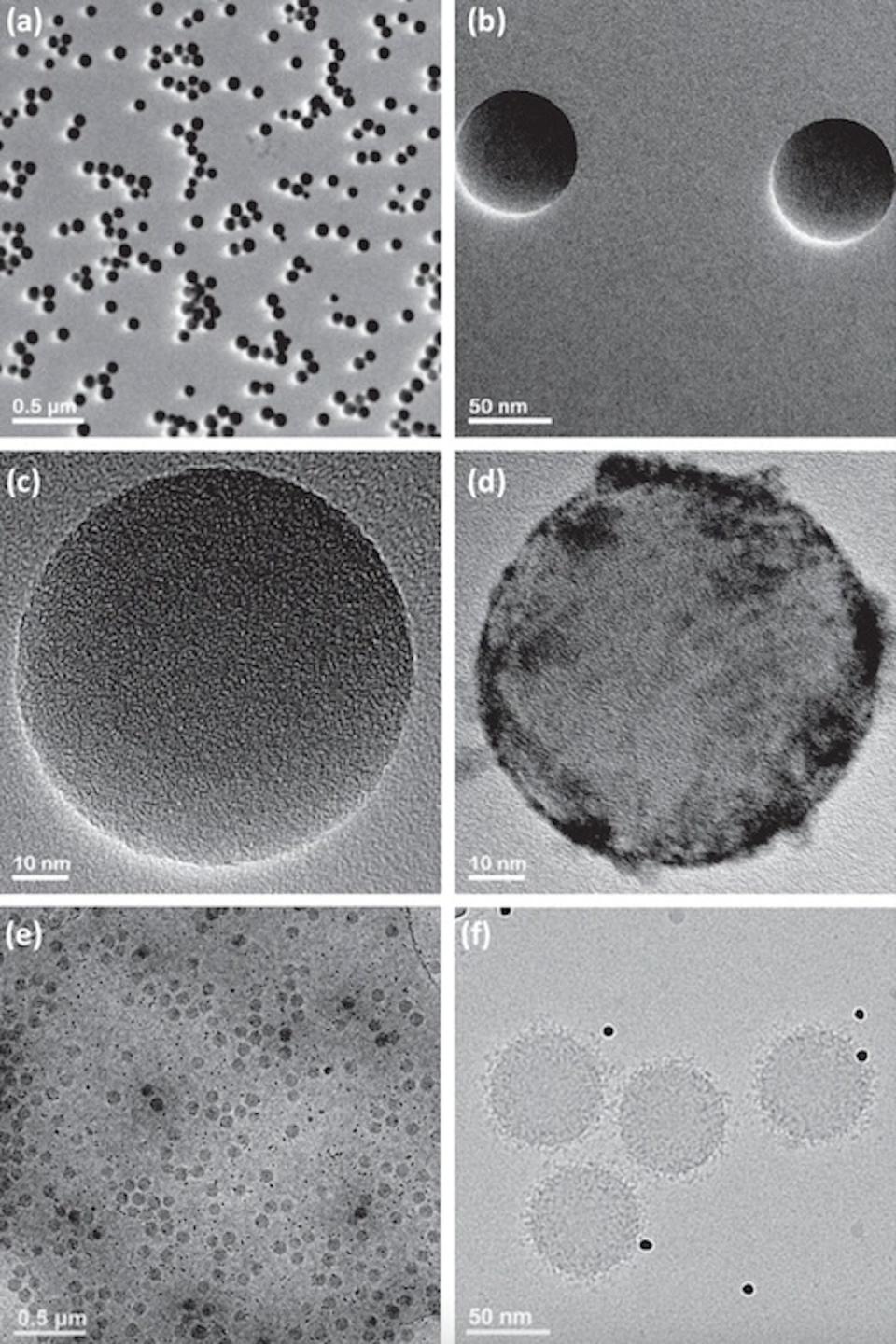 Protein coronas give nanoparticles their biological identities. Images A to C show nanoparticles without protein coronas, while images D to F show proteins (black dots) coating the surface of the particles. <a href="https://doi.org/10.1038/s41467-022-34438-8" rel="nofollow noopener" target="_blank" data-ylk="slk:Ashkarran et al. (2022)/Nature Communications;elm:context_link;itc:0;sec:content-canvas" class="link ">Ashkarran et al. (2022)/Nature Communications</a>, <a href="http://creativecommons.org/licenses/by/4.0/" rel="nofollow noopener" target="_blank" data-ylk="slk:CC BY;elm:context_link;itc:0;sec:content-canvas" class="link ">CC BY</a>