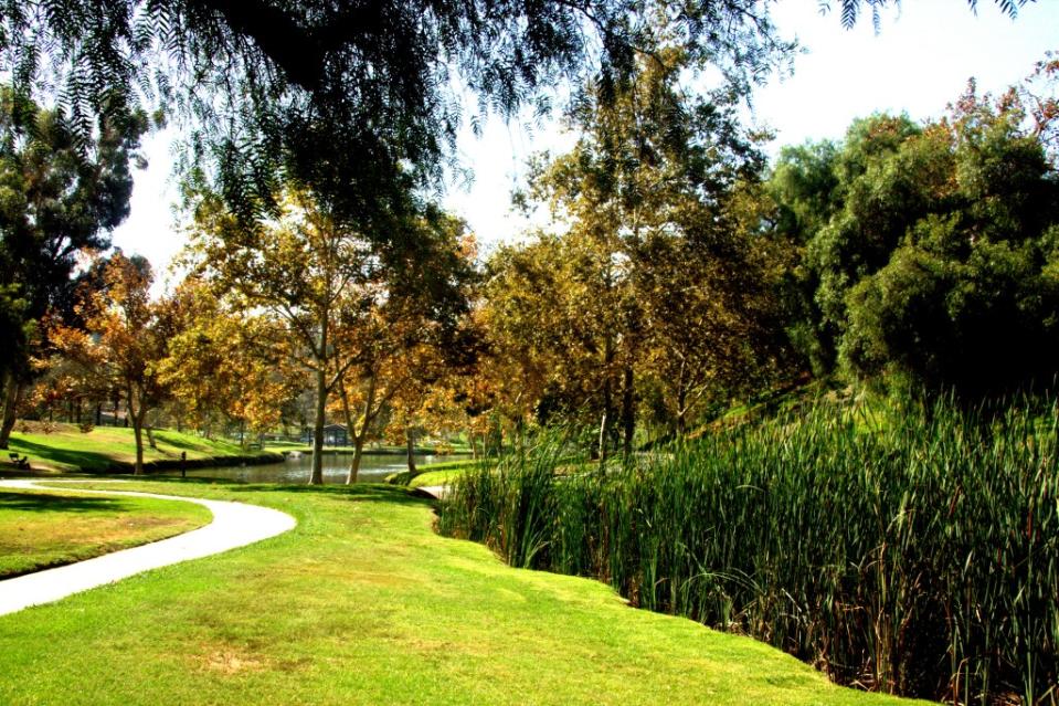 Early autumn has come in Craig regional park in Fullerton, California.