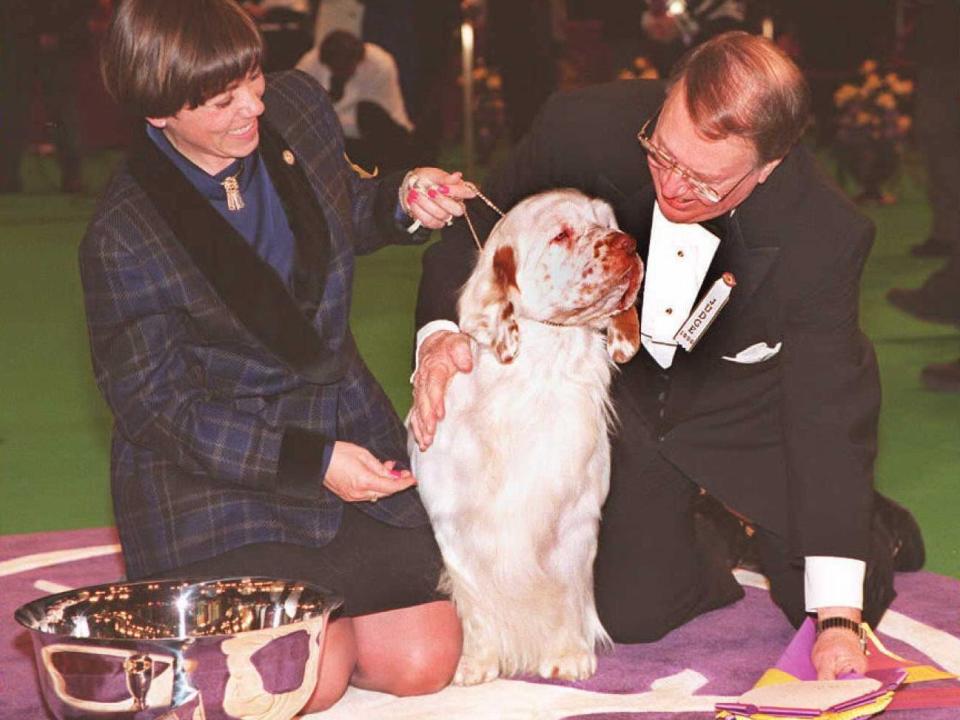 westminster winner 1996