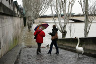 <p>A swan and women walks past the river Seine in Paris, Thursday, Jan.25, 2018. (Photo: Christophe Ena/AP) </p>