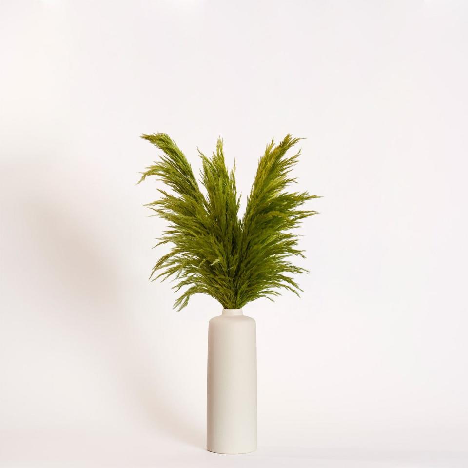 <p><a href="https://shopeastolivia.com/products/green-pampas-large-ivory-porcelain-vase" rel="nofollow noopener" target="_blank" data-ylk="slk:Shop Now;elm:context_link;itc:0;sec:content-canvas" class="link ">Shop Now</a></p><p>Green Pampas </p><p>shopeastolivia.com</p><p>$175.00</p>