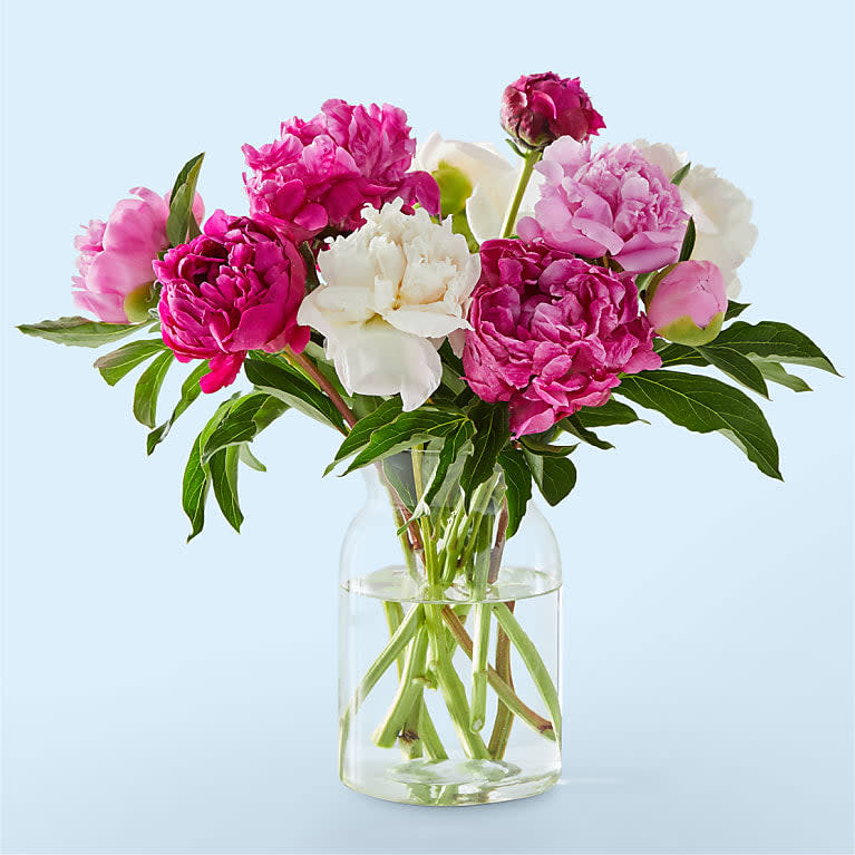 <p><a href="https://go.redirectingat.com?id=74968X1596630&url=https%3A%2F%2Fwww.proflowers.com%2Fproduct%2Ffresh-peony-bouquet-prd-mdayppb%3Fprid%3DPFPLA1529%26ref%3DPFCFeedGoogleNB%26variation%3DFM045D&sref=https%3A%2F%2Fwww.veranda.com%2Fshopping%2Fg43401836%2Fbest-flowers-for-mothers-day%2F" rel="nofollow noopener" target="_blank" data-ylk="slk:Shop Now;elm:context_link;itc:0;sec:content-canvas" class="link ">Shop Now</a></p><p>Fresh Peony Bouquet</p><p>proflowers.com</p><p>$85.00</p><span class="copyright">Proflowers</span>