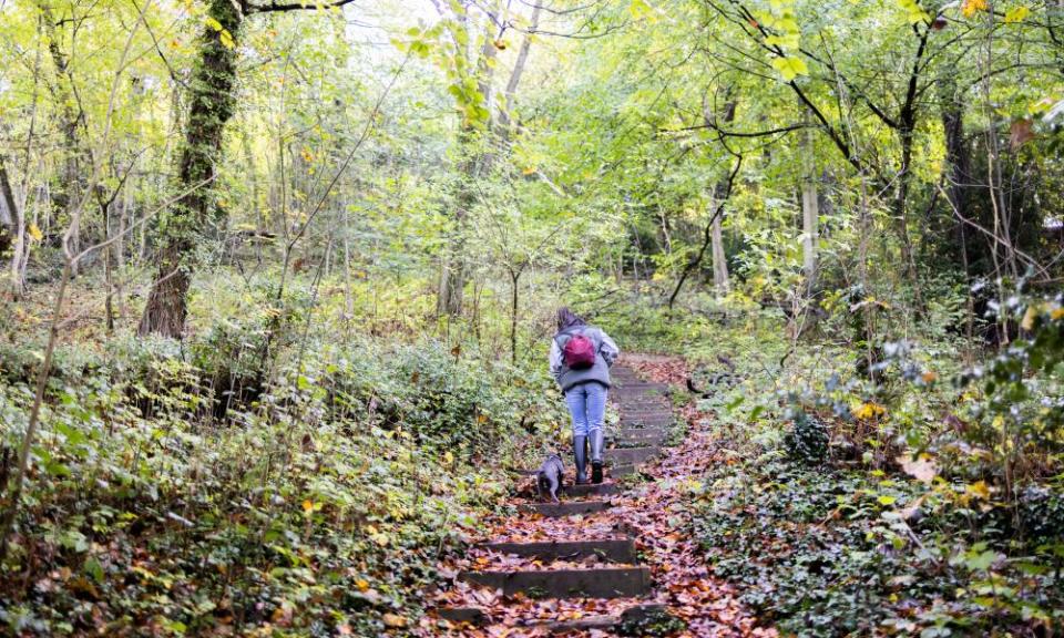 Climbing the western ridge of the Darent Valley, close to the start of the walk.